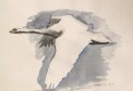 Swan 2, watercolor on hemp paper, 6 by 8 in. Emilia Kallock 2016