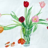 Tulips and One Rose, watercolor on paper, 36 by 48 in. Emilia Kallock 2009