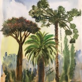 Some Trees I Saw in Chile, watercolor on paper, 11 by 9 in. Emilia Kallock 2017