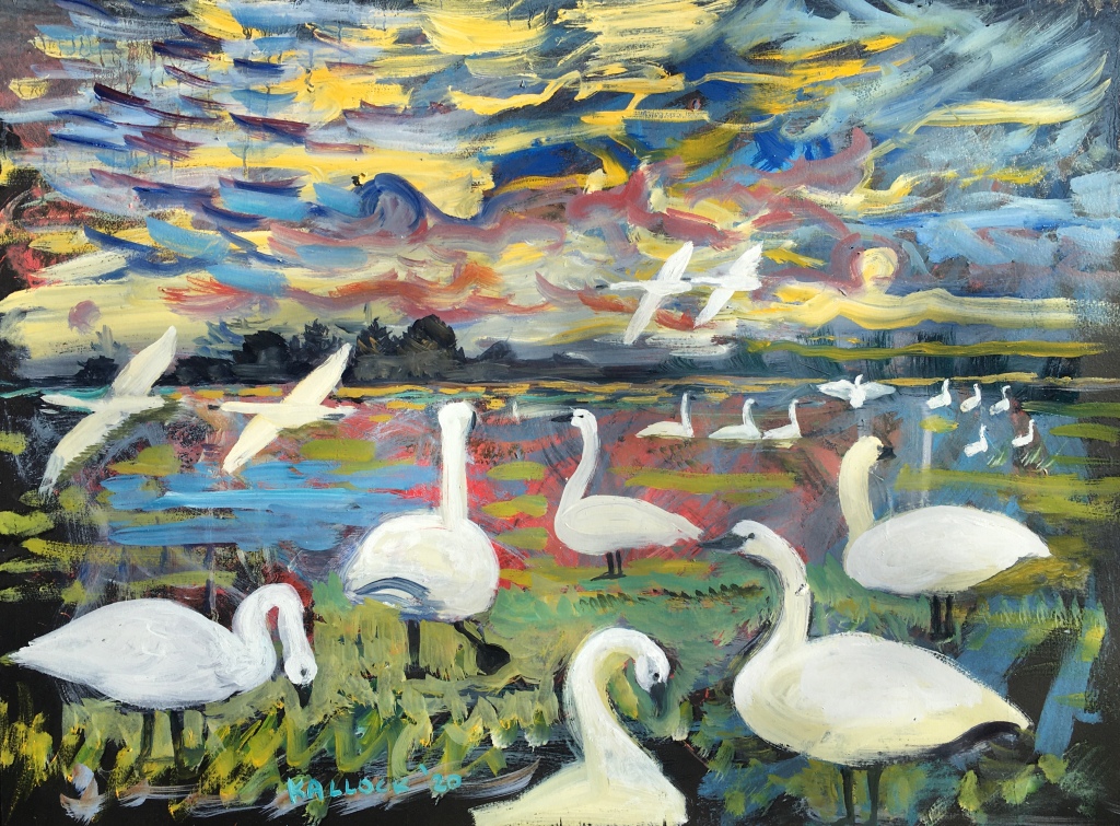 Swans in the Evening
